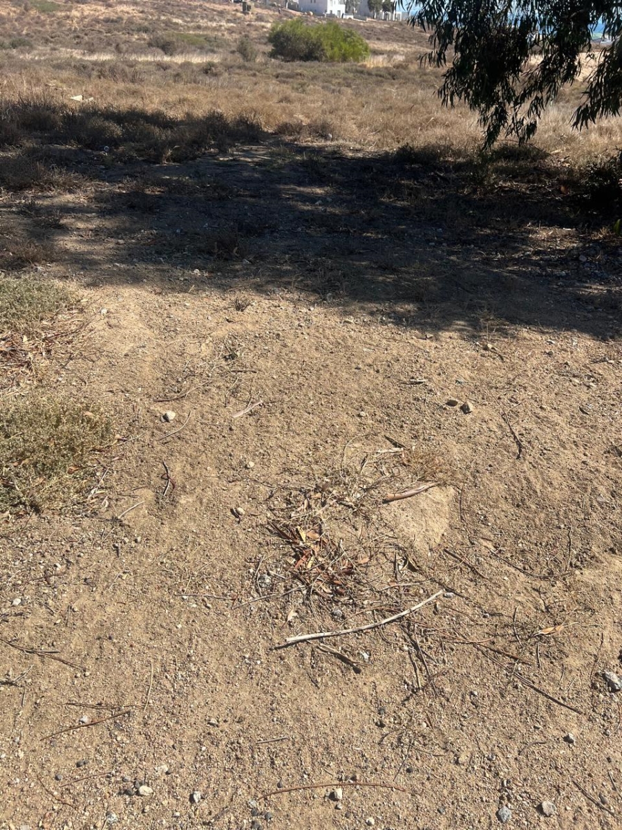 Commercial Property for Sale in Steenbergs Cove Western Cape